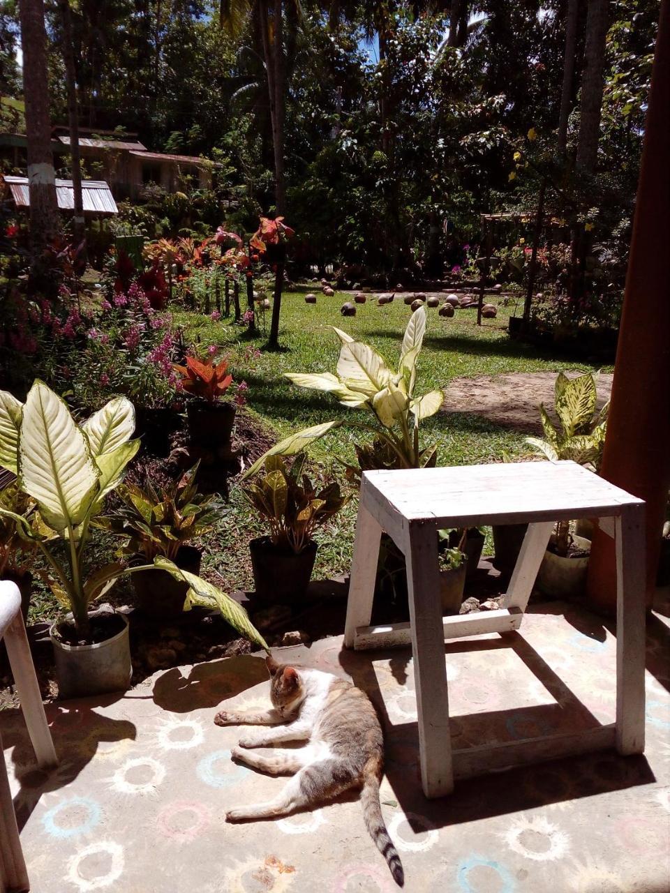 Batuan Hammock Hostel Bagian luar foto